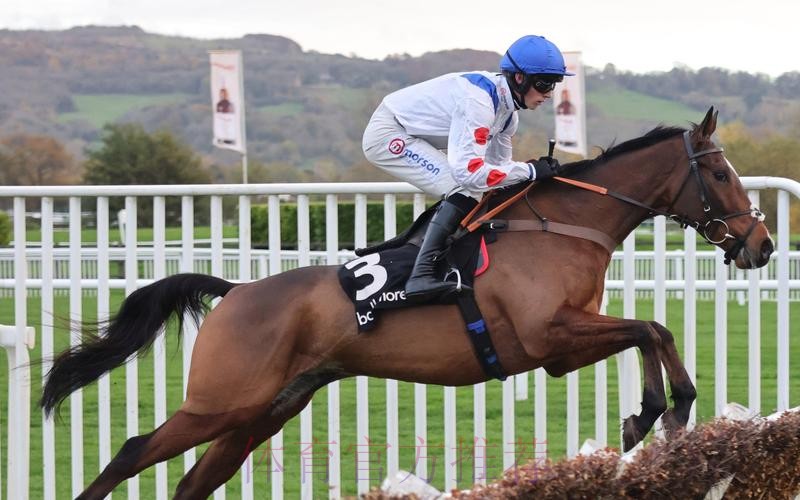 馬體會對賽硬淨值捧 馬體會對賽硬淨值捧